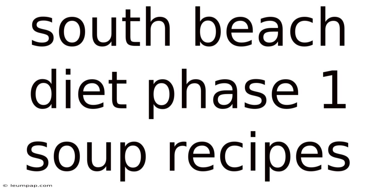 South Beach Diet Phase 1 Soup Recipes