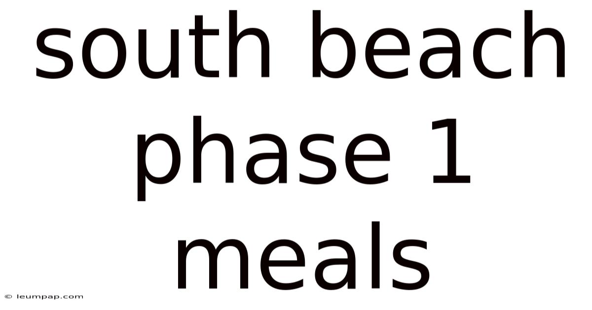 South Beach Phase 1 Meals South Beach Phase 1 Meals